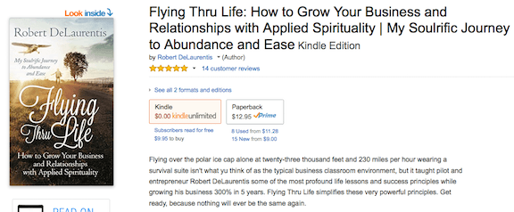 Flying Thru Life Book Example