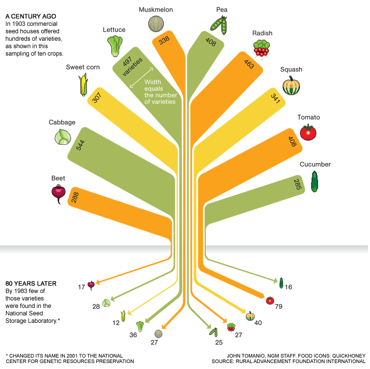 food-variety-infographic-hubspot